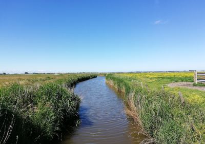 Uitkerkse Polder