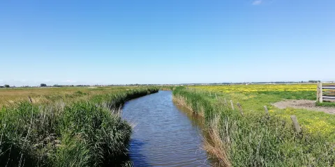 Uitkerkse Polder