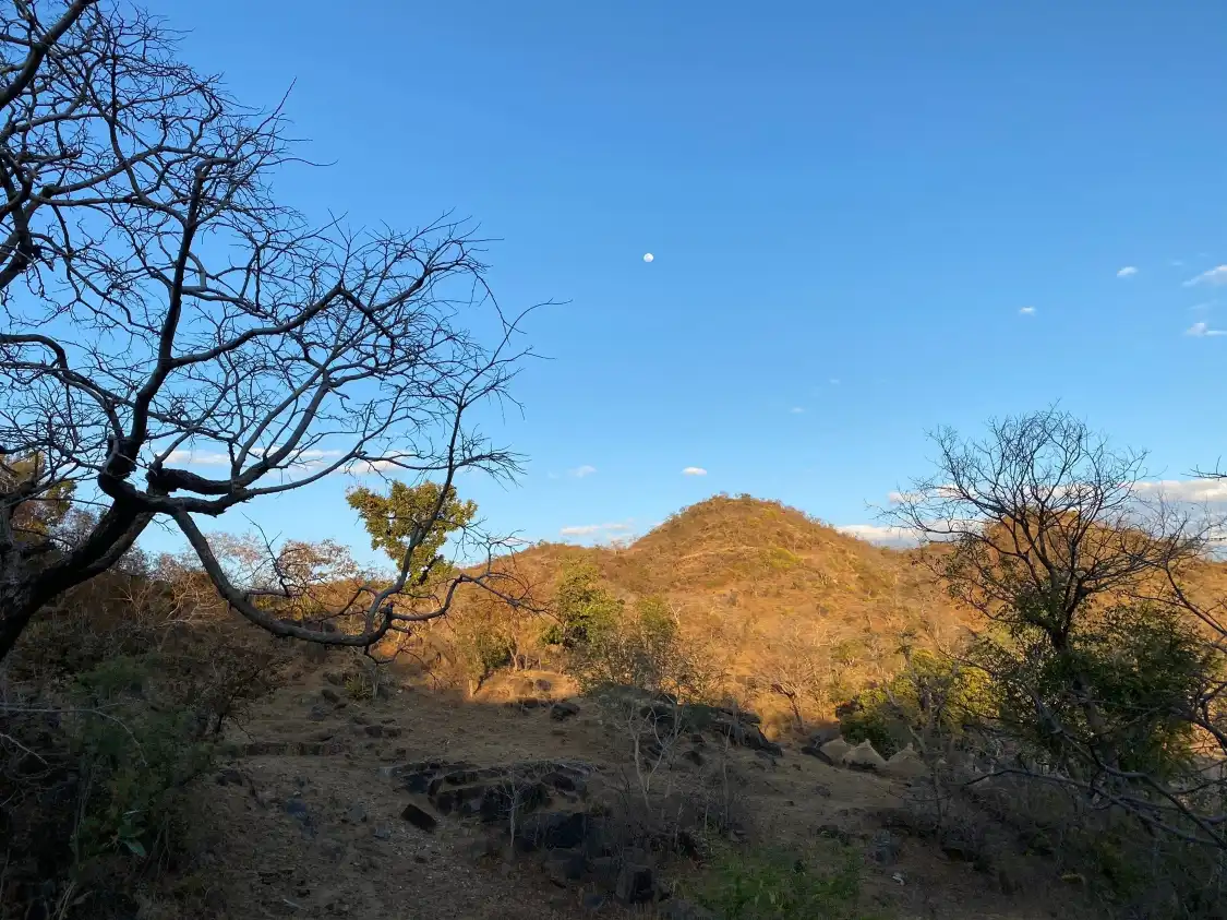 Hotels near Kumbhalgarh Wildlife Sanctuary