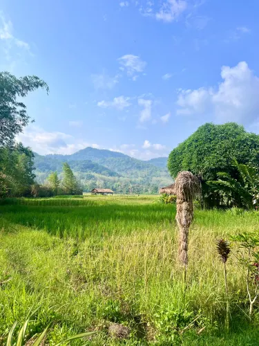 The Living Land Company