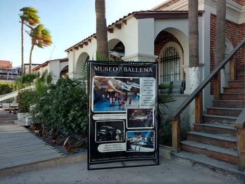 Museo de la ballena