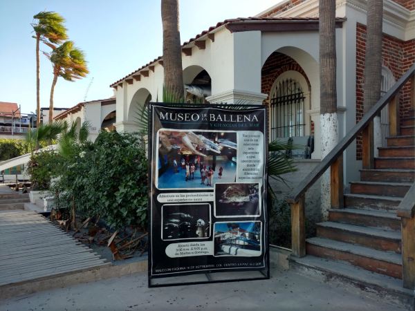 Museo de la ballena