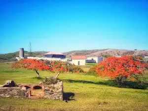 Fort Teremba