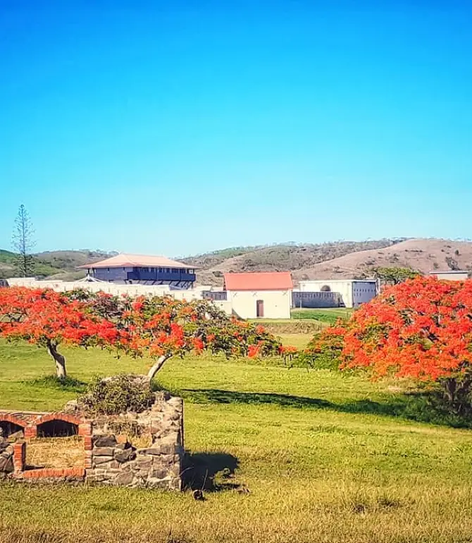 La Foa