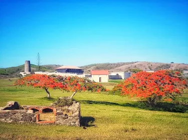 Fort Teremba