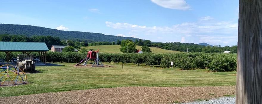 Marker-Miller Orchards