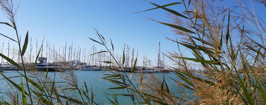 Lungomare Andrea Doria e Bisani