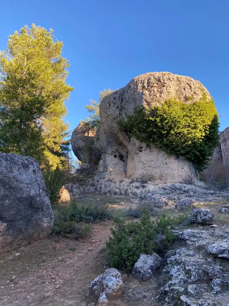 Hotels in Las Majadas