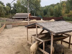 Tisza Tavi Okocentrum