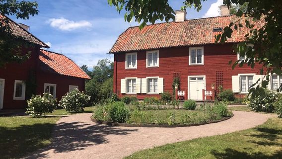 Linnaeus' Hammarby