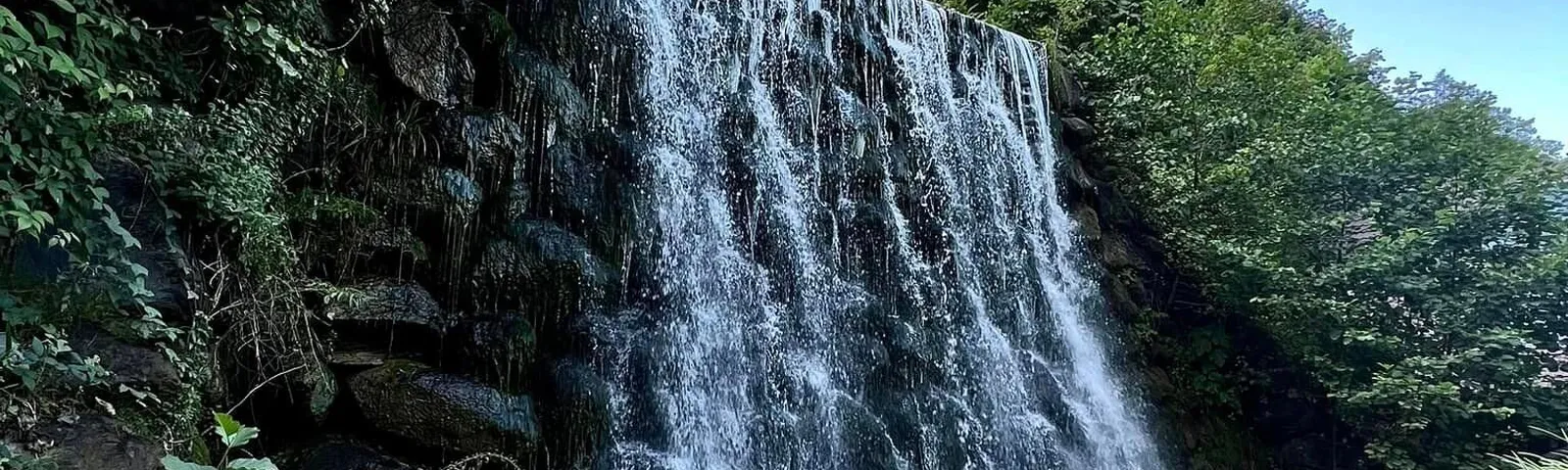 사판자데이 투어