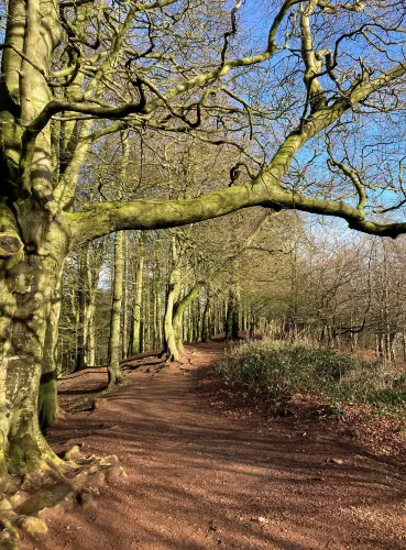 Clent Hills