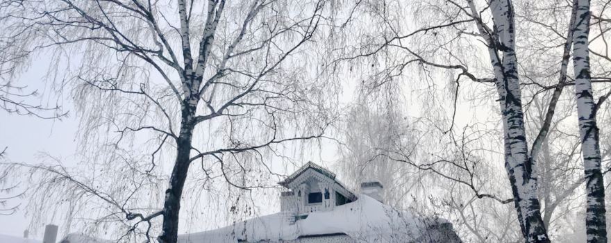 Estate of S. Yesenin's Parents Museum