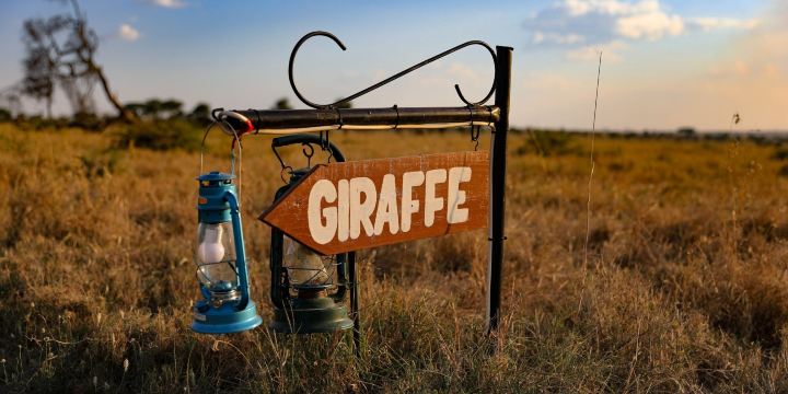 Serengeti Heritage