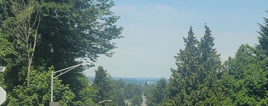 Covington