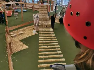 Indoor Kletterwald