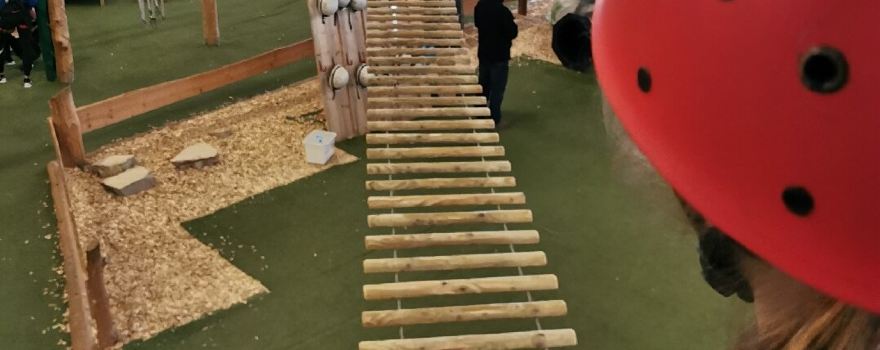 Indoor Kletterwald