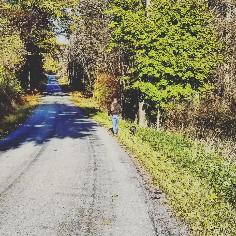 3_Yellow Creek State Park