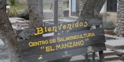 Museo Municipal de Ciencias Naturales "Ñandú"