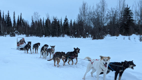 Skookum Expeditions