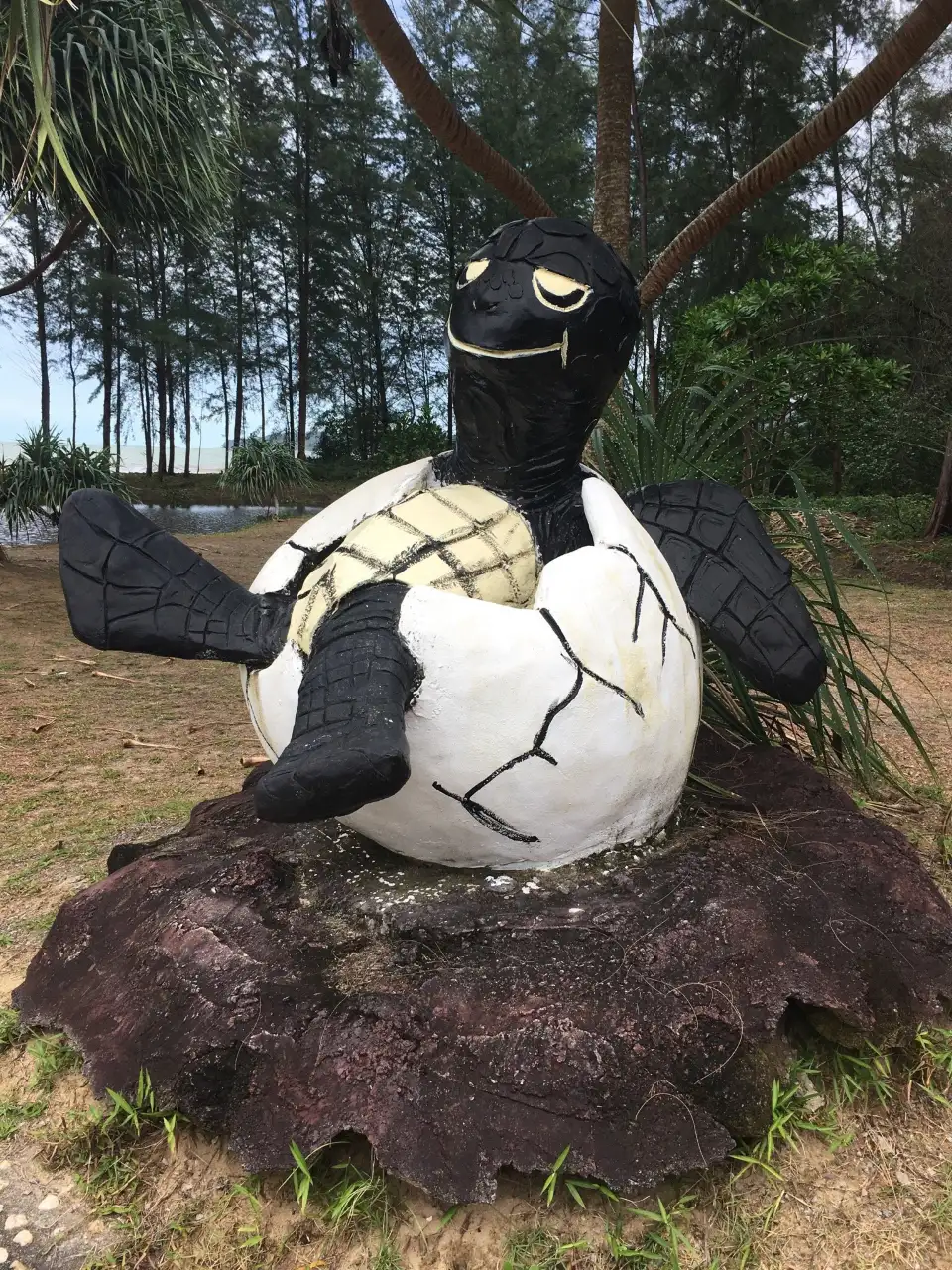 5_Royal Thai Navy Third Fleet Sea Turtle Nursery - Phang Nga