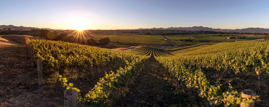 Greywacke