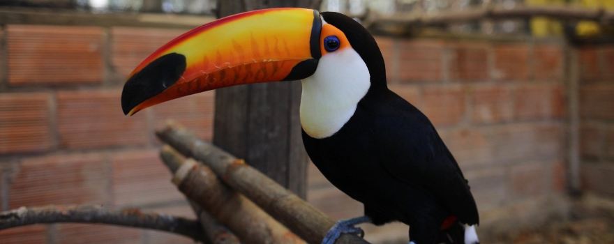 Parque de las Aves Agroflori