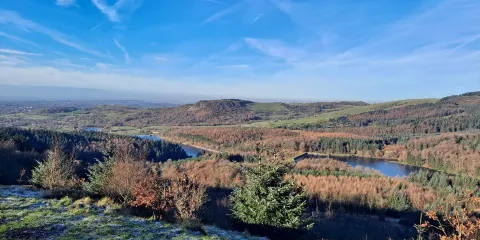 Macclesfield Forrest