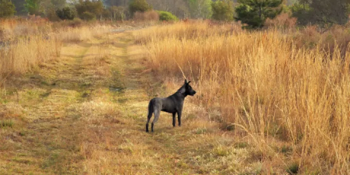 Halpata Tastanaki Preserve