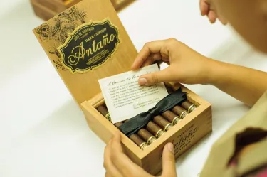 Esteli