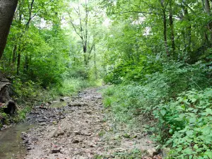 Ray Norbut State Fish & Wildlife