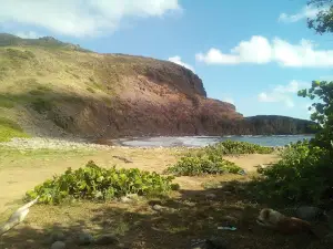 Boven National Park