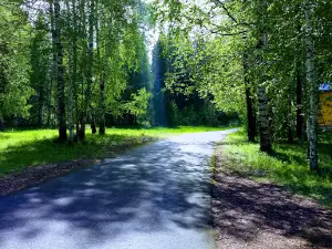 Gornyak
