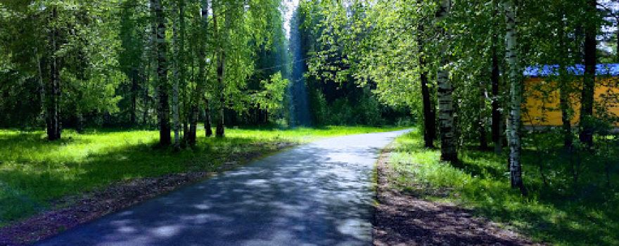 Gornyak