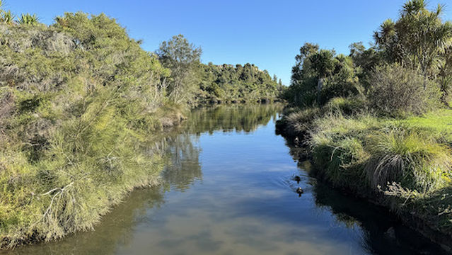 Gordon Carmichael Reserve