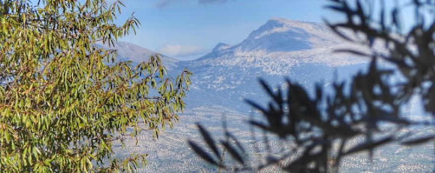 Cortijo El Chaparral