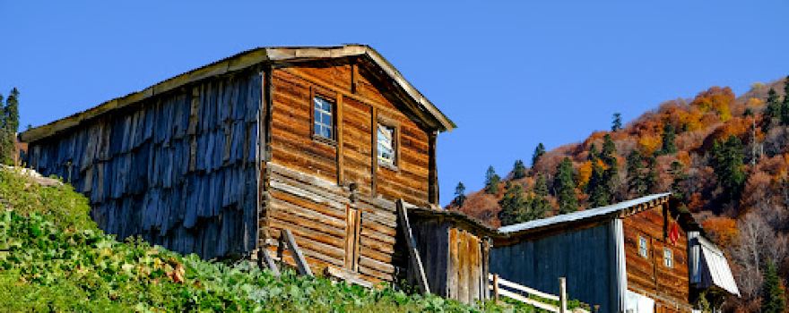 gomvan(çuripira)Yaylasi