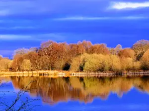 Pen-Y-fan Country Park