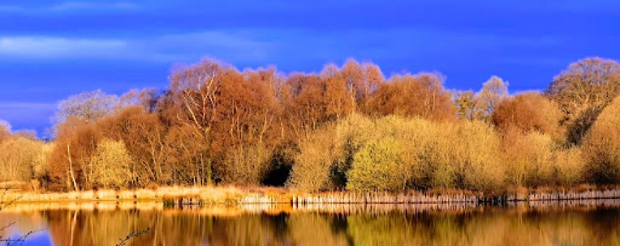 Pen-Y-fan Country Park