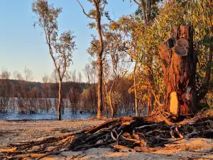 Northern Foreshores Copeton Dam