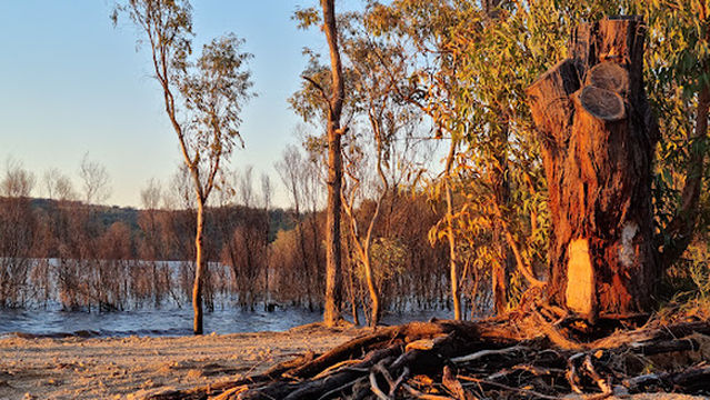 Northern Foreshores Copeton Dam