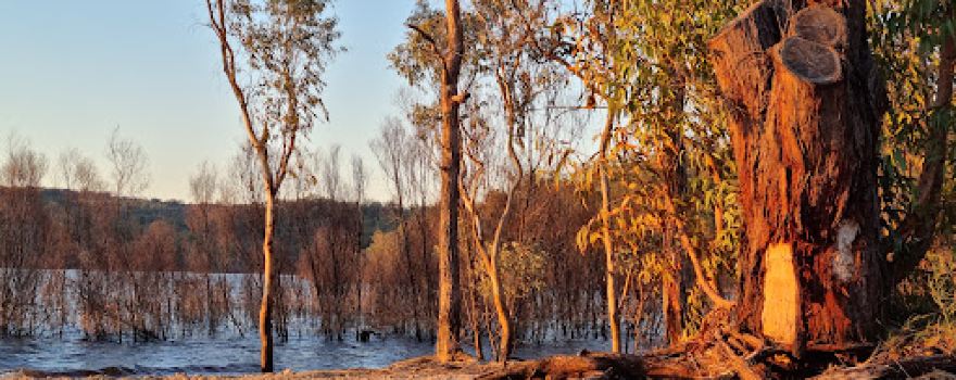 Northern Foreshores Copeton Dam