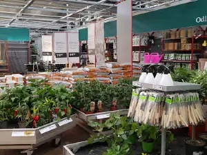 Plantagen