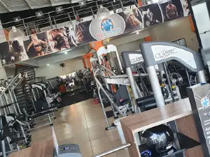 Biocorpus Fitness