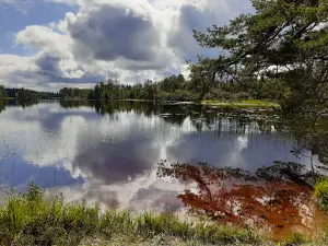 Brunnsbacka Sågkvarn
