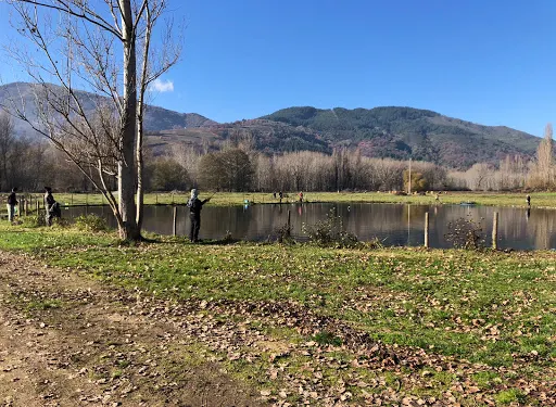 Camping El Lago, COMPLEJO HOSTELERO DE VILELA