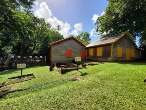 Central Forest Reserve National Park