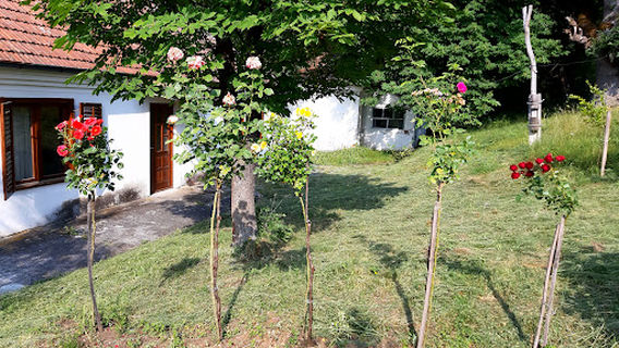 Cultural Center Ribnica