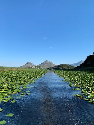 Vranjina