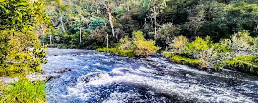 Horseshoe Bend Camping Ground